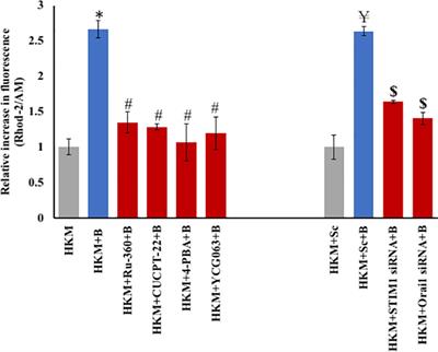 mtROS Induced via TLR-2-SOCE Signaling Plays Proapoptotic and Bactericidal Role in Mycobacterium fortuitum-Infected Head Kidney Macrophages of Clarias gariepinus